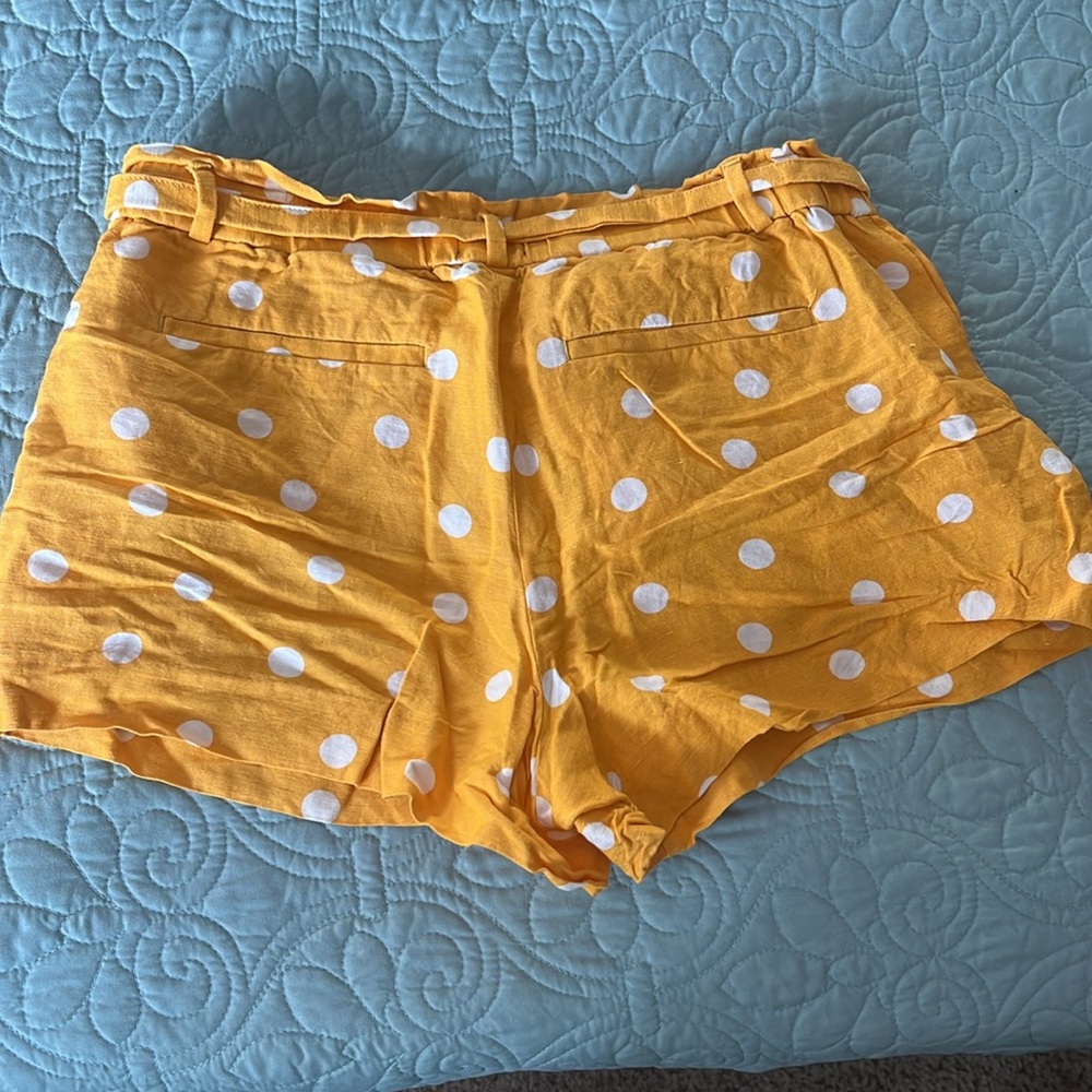 Loft Paper Bag Shorts - Picture 3 of 3